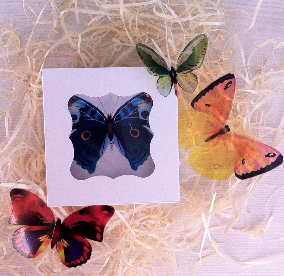 фото объемные бабочки упаковка, в такой коробочке приедут бабочки к вам