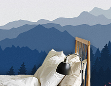 фото дизайн стикерс фотообои лес виниловые