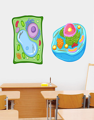 наклейки для биологии