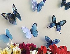 3 д бабочки фото, 3d бабочки фото, объемные бабочки фото