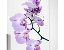 фото наклейка орхидея, фото наклейка на холодильник орхидея, фото декоративная наклейка на холодильник орхидея,