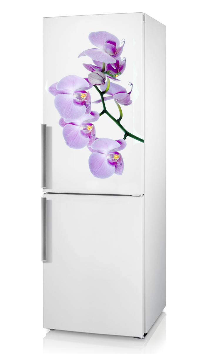 фото наклейка орхидея, фото наклейка на холодильник орхидея, фото декоративная наклейка на холодильник орхидея, виниловая наклейка орхидея